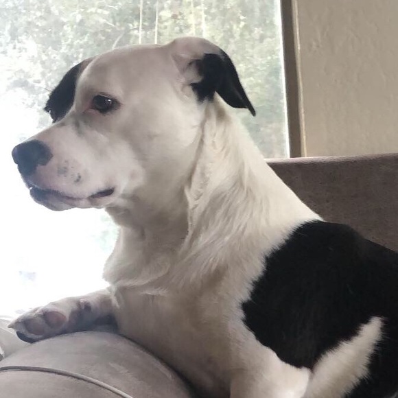 Profile Picture of Brandon Lavey (@brandonlavey420) on Poshmark