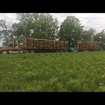 Profile Picture of Jamie Wallace (@jamiewallaceforestry) on Instagram