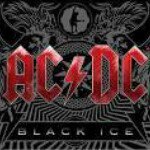 Andre Noel Braun - Instagram Profile Picture of Andre Noel Braun (@andrebraun312) on Instagram