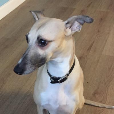 Nick Moreland - Twitter Profile Picture of Nick Moreland (@n_moreland) on Twitter