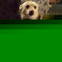 Profile Picture of David Tolosa (@scifidave) on Myspace