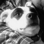 Profile Picture of Crystal Tollefson (@crystal.tollefson.12) on Facebook