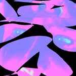 Profile Picture of Kaylyn Slevin (@c.h._network) on Instagram