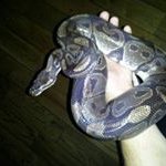 Profile Picture of John Swanston (@swanstonjohn) on Instagram