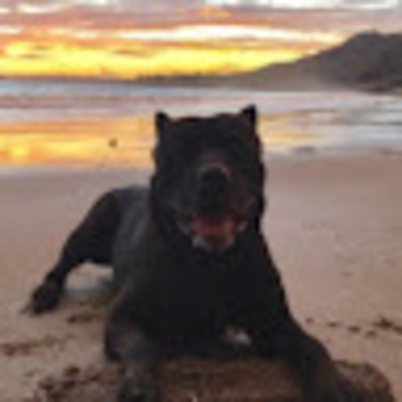 Profile Picture of Kim Devane (@divineimaging) on Poshmark