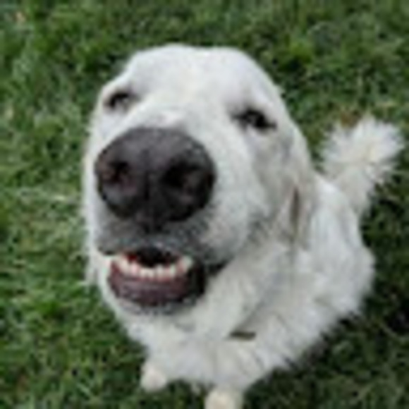 Sarah Takken - Poshmark Profile Picture of Sarah Takken (@sarahtakken28) on Poshmark