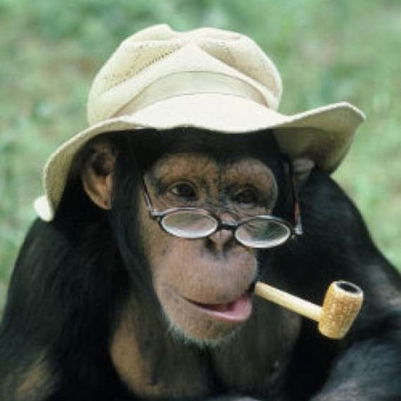 Profile Picture of David Neale (@amantediclemson) on Poshmark