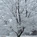 Profile Picture of François Bastien (@bastien2657) on Pinterest