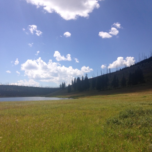 Profile Picture of Sydney Abrahimi (@sabrahimi) on Poshmark