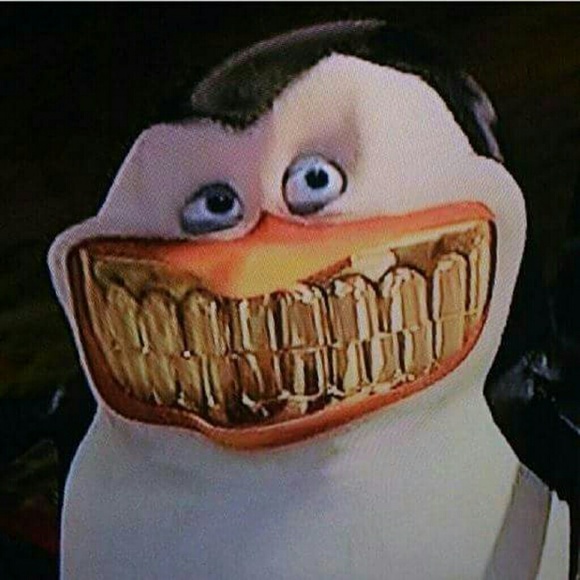 Profile Picture of Sarah Scollay (@sscollay12) on Poshmark