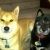 Profile Picture of Rayetta Lantzy (@rayettal) on Pinterest