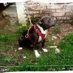 Profile Picture of Juan aboytes (@aboytes71) on Instagram