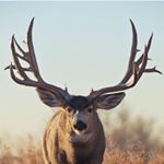 Profile Picture of Jordan Robert Andazola (@j_r_a_79) on Instagram