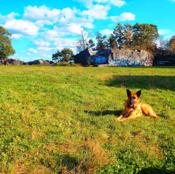 Profile Picture of Brian Symmes (@bms121586) on Poshmark