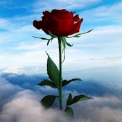 Val Wright - Youtube Profile Picture of Val Wright (@ladybugsrose) on Youtube