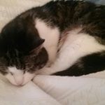 Profile Picture of Sylvia Knapp (@sylviaknapp) on Instagram