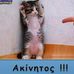 Profile Picture of Dimitris Fotios (@dimitris.fotios) on Facebook