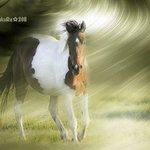 Profile Picture of Guadalupe Alexander (@guadalupealexander) on Instagram