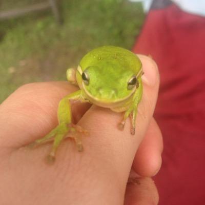 Profile Picture of Megan Trapp (@Megan_trapp8) on Twitter
