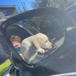 Profile Picture of Cory Ritchie (@jcritchie_) on Instagram