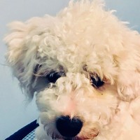 Profile Picture of Mario Madera (@mario-madera-4) on Quora