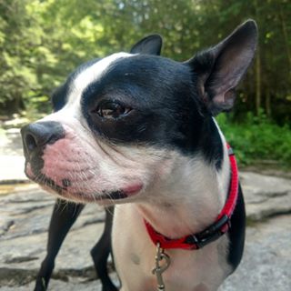 Profile Picture of Bob Melanson (@bob.melanson) on Facebook