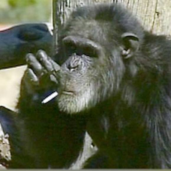 Profile Picture of John Dixy (@john_dixy) on Poshmark