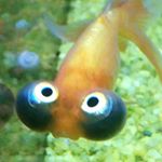 Profile Picture of John Poisson (@john.poisson.98) on Instagram