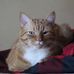 Profile Picture of Forrest Foster (@forrest.foster.35912) on Facebook