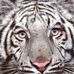 Profile Picture of Keeah Dargel (@keeah.dargel.5) on Facebook
