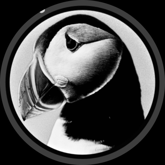 Profile Picture of Puffin Puffin (@pane111) on Poshmark