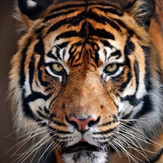 Profile Picture of Alberto Carnevale (@alberto.carnevale.3139) on Facebook