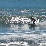 Profile Picture of Nancy Terwilliger (@terwilligernancy) on Instagram