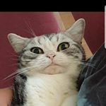 Profile Picture of Quentin_King14 (@quentin_king14) on Instagram