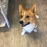 Profile Picture of Sheila (@sheila.bannon) on Instagram