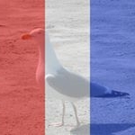 Profile Picture of 1 follower (@annick7888) on Instagram