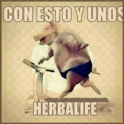 Profile Picture of Stephanie Trinidad (@stephlovaahhh) on Twitter