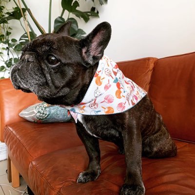 Profile Picture of Mari Hayashi (@mari_ito) on Twitter