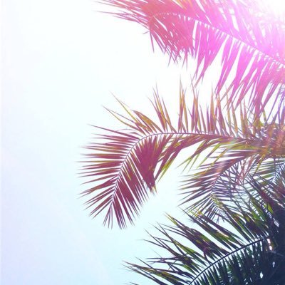 Profile Picture of Lirong (@_LiRong) on Twitter