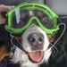 Profile Picture of Jed Archibald (@archibaldjed) on Pinterest