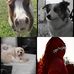 Profile Picture of Ash Lawrence (@ash.lawrence.355) on Facebook