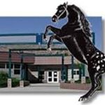 Profile Picture of Cynthia Mann Elementary (@cynthiamannelementary) on Instagram