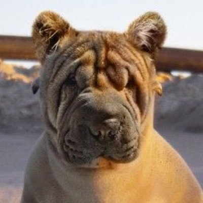 Profile Picture of Obie Smith (@obie2smith2) on Twitter