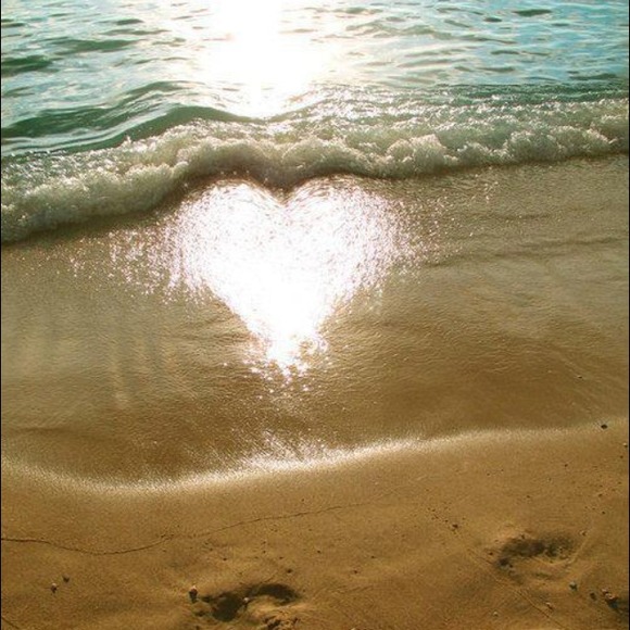 Profile Picture of Codruta Merrill (@clavatus33) on Poshmark