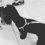 Profile Picture of Leonard (@leonardraguso) on Instagram