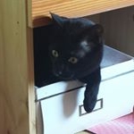 Profile Picture of Rita Binder (@rita.binder.5) on Instagram