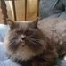 Profile Picture of Robert Robar (@robert.robar.58) on Facebook
