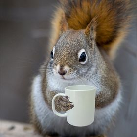 Profile Picture of Julie Haase (@jhaase) on Pinterest