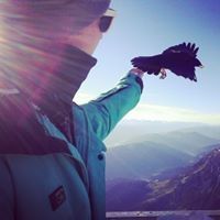 Profile Picture of Dustin Hübner (@dustinhbner) on Pinterest