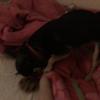 Profile Picture of Jill Kemp245 (@@jillkemp3) on Tiktok